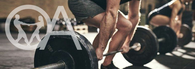 Hormonal Optimization